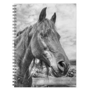 Quarter Horse Portrait Notebook