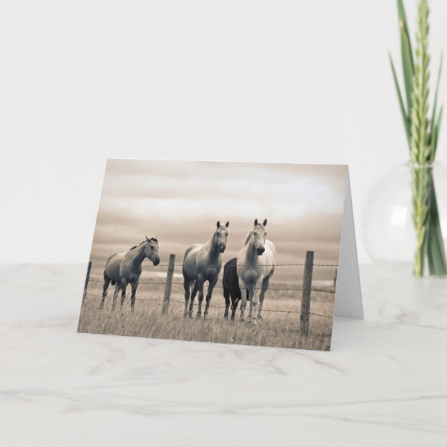 Quarter Horses On Canadian Prairie Card (Front)