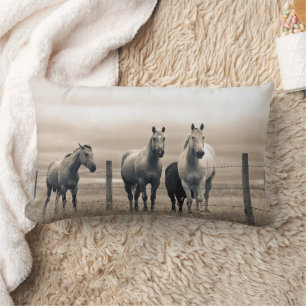 Quarter Horses On Canadian Prairie Lumbar Cushion