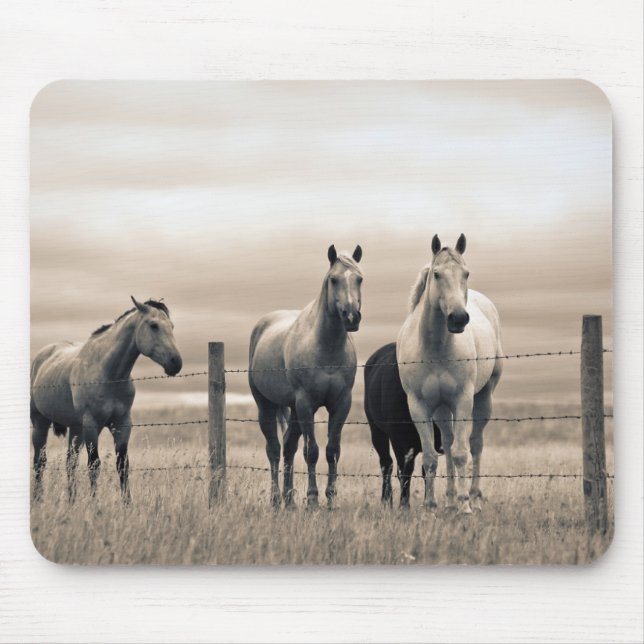 Quarter Horses On Canadian Prairie Mouse Pad (Front)