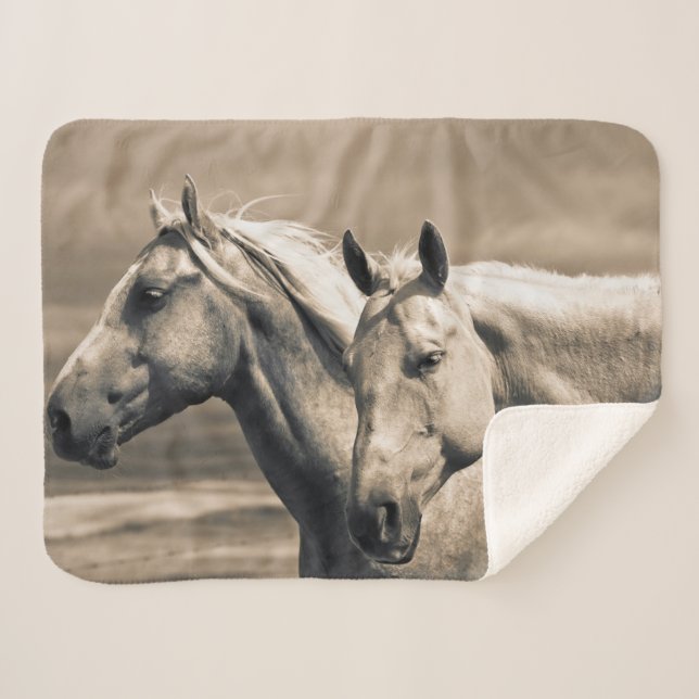 Quarter Horses On Canadian Prairie Sherpa Blanket (Front (Horizontal))