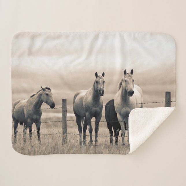 Quarter Horses On Canadian Prairie Sherpa Blanket (Front (Horizontal))