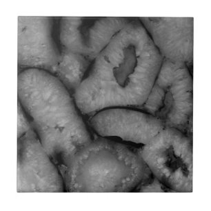 Quartz Agate Geode Black and White Tile