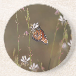 Quee butterfly and Milkweed Coaster