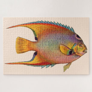 queen angelfish jigsaw puzzle