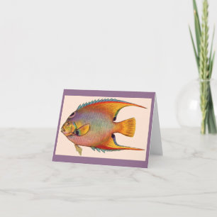 queen angelfish note card