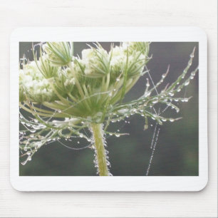 Queen Anne and Morning Dew Mouse Pad