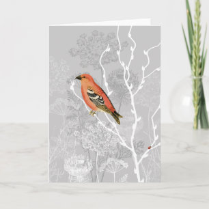 Queen Anne Morning Greeting Card