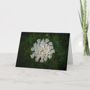 Queen Anne’s Lace, card