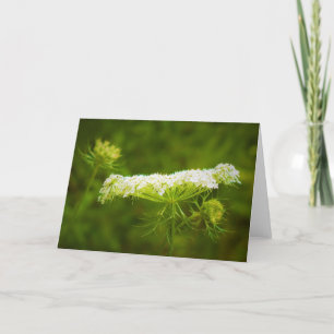 Queen Anne’s Lace, card