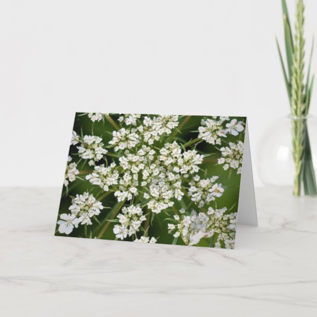 Queen Anne’s Lace, card (Front)