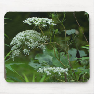 Queen Anne's La ce Wildflower - Daucus carota Mouse Pad