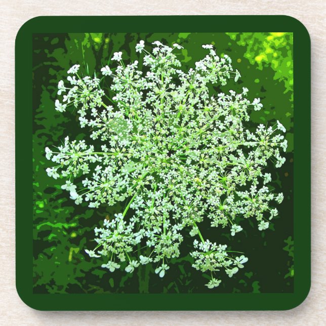 Queen Annes Lace Coaster (Front)