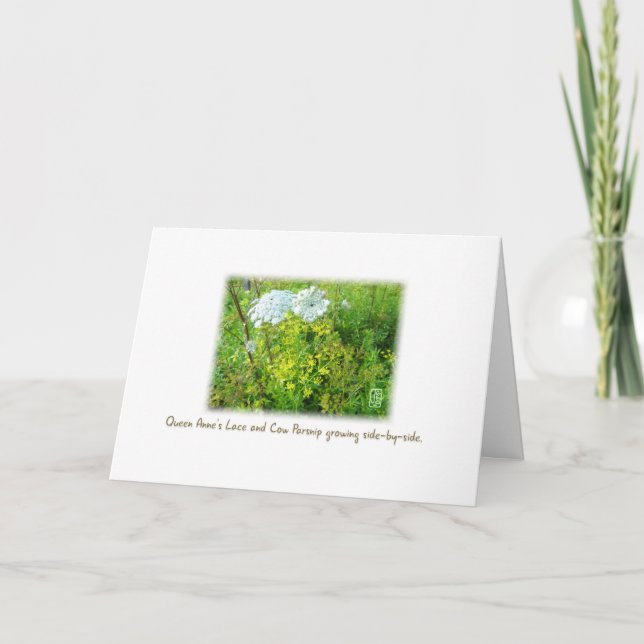 Queen Anne's Lace & Cow Parsnip Card on White (Front)