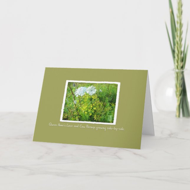 Queen Anne's Lace & Cow Parsnip on Green/Brown Card (Front)