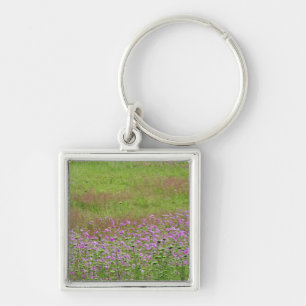Queen Anne's Lace Daucus carota) growing Key Ring