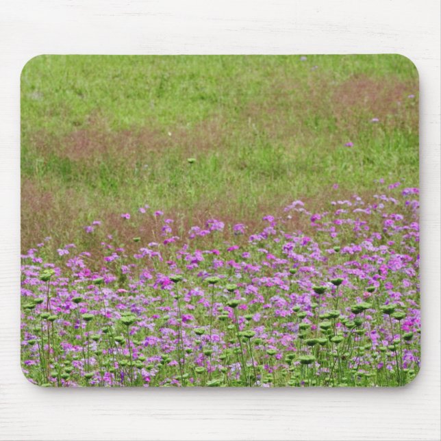 Queen Anne's Lace Daucus carota) growing Mouse Pad (Front)