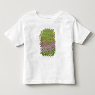 Queen Anne's Lace Daucus carota) growing Toddler T-Shirt