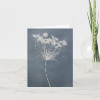 Queen Anne's Lace Floral Notecard Blank Inside