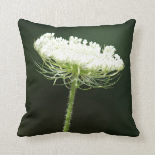 Queen Anne's Lace Flower Cushion