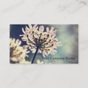 Queen Annes Lace flowers Custom Business Cards