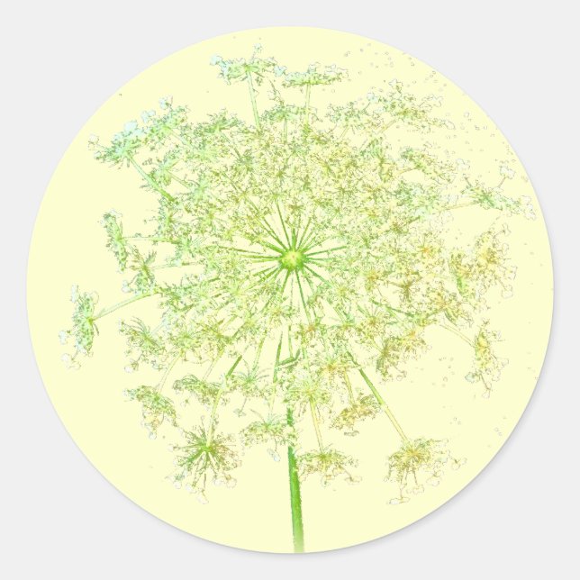 Queen Anne's Lace Gifts and Favors Classic Round Sticker (Front)