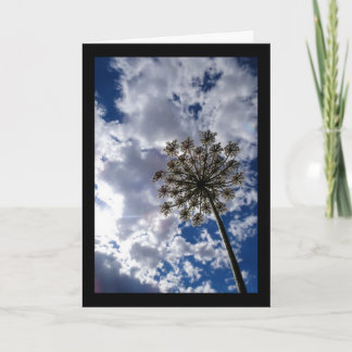 Queen Anne's Lace in Cloudy Skies Card