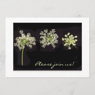 Queen Anne's Lace invitation