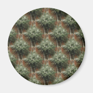 Queen Anne's Lace.... Magnet