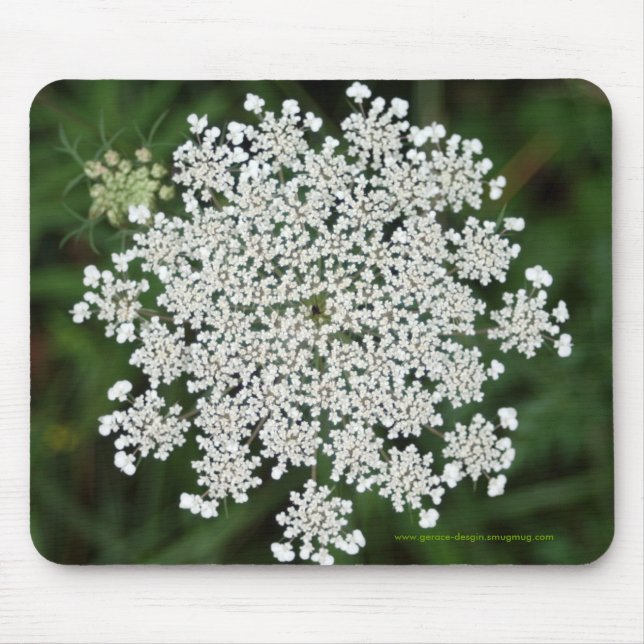 Queen Anne's Lace Mouse Pad (Front)