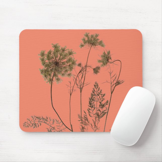 Queen Anne's Lace on a Mouse Pad (With Mouse)