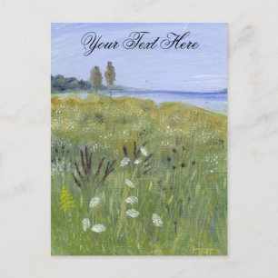 Queen Anne's Lace Postcard