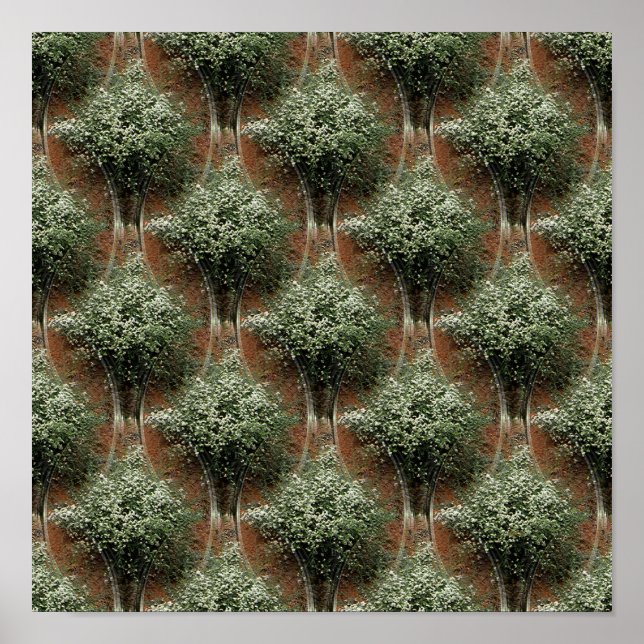 Queen Anne's Lace.... Poster (Front)