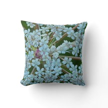 Queen Anne's Lace White Flowers