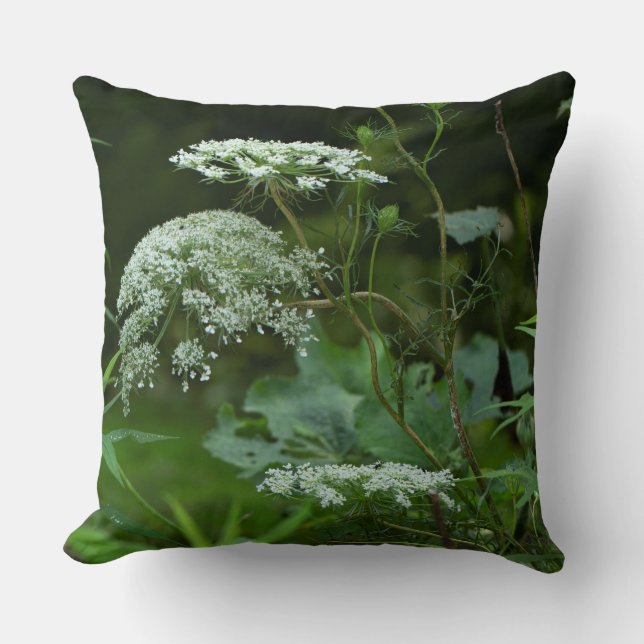 Queen Anne's Lace Wildflower in Summer Cushion (Front)