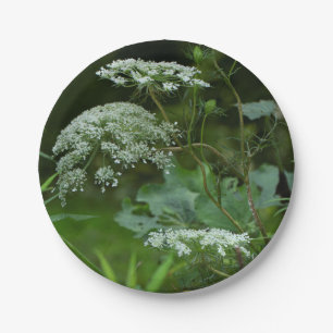 Queen Anne's Lace Wildflower in Summer Paper Plate
