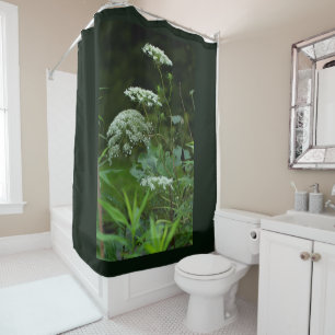 Queen Anne's Lace Wildflower in Summer Shower Curtain