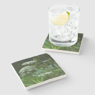 Queen Anne's Lace Wildflower in Summer Stone Coaster
