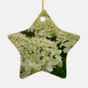 Queen Anne's Lace Wildflower Photo Ceramic Tree Decoration