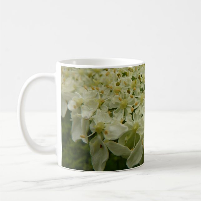 Queen Anne's Lace Wildflower Photo Coffee Mug (Left)
