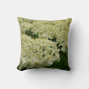 Queen Anne's Lace Wildflower Photo Cushion