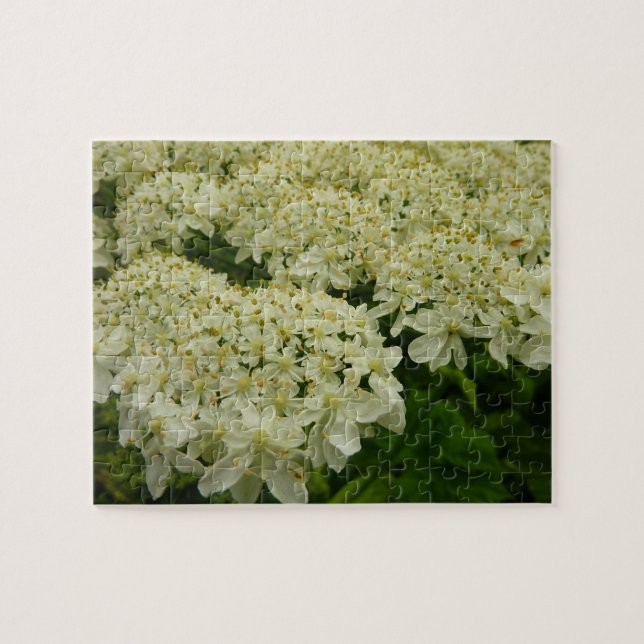 Queen Anne's Lace Wildflower Photo Jigsaw Puzzle (Horizontal)