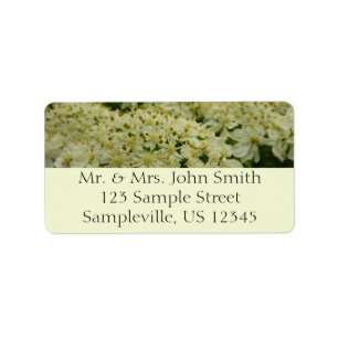 Queen Anne's Lace Wildflower Photo Label