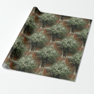 Queen Anne's Lace..... Wrapping Paper
