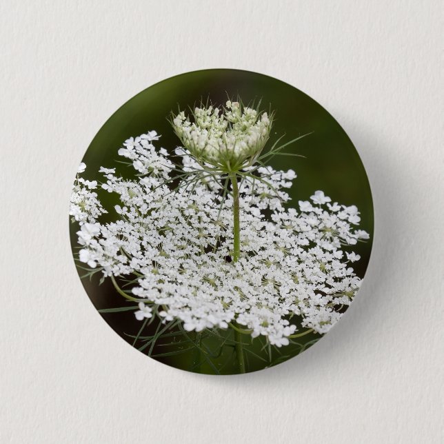 Queen Ann's Lace 6 Cm Round Badge (Front)