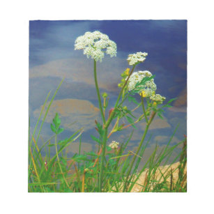 Queen Ann's lace blue lake Notepad