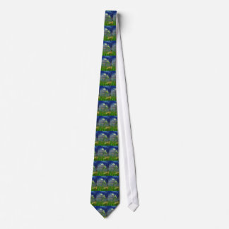Queen Ann's lace blue lake Tie