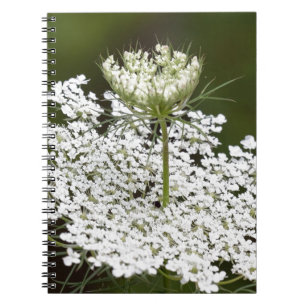 Queen Ann's Lace Notebook