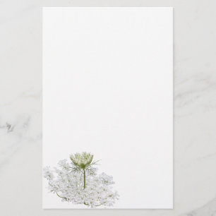 Queen Ann's Lace Stationery