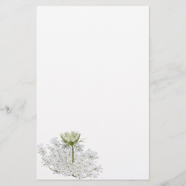 Queen Ann's Lace Stationery (Front)